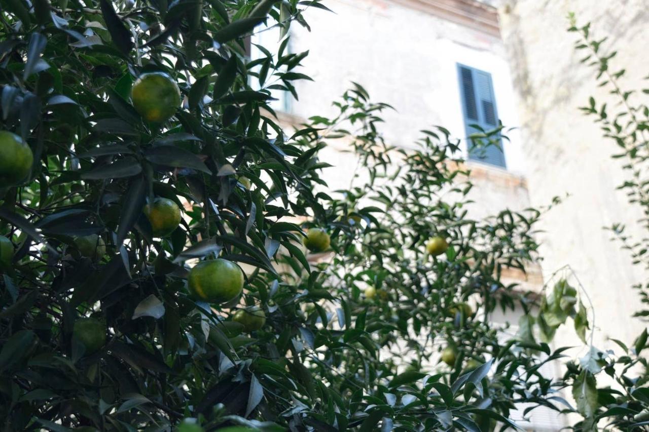 Giardino D'Atri Apartment Наполи Екстериор снимка